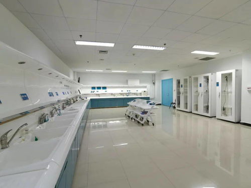 技術、服務、設備與環境 構建完善的綜合技術服務生態