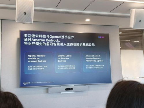 深耕Agentic AI賽道”，亞馬遜云科技如何用產品矩陣重構企業生產力？