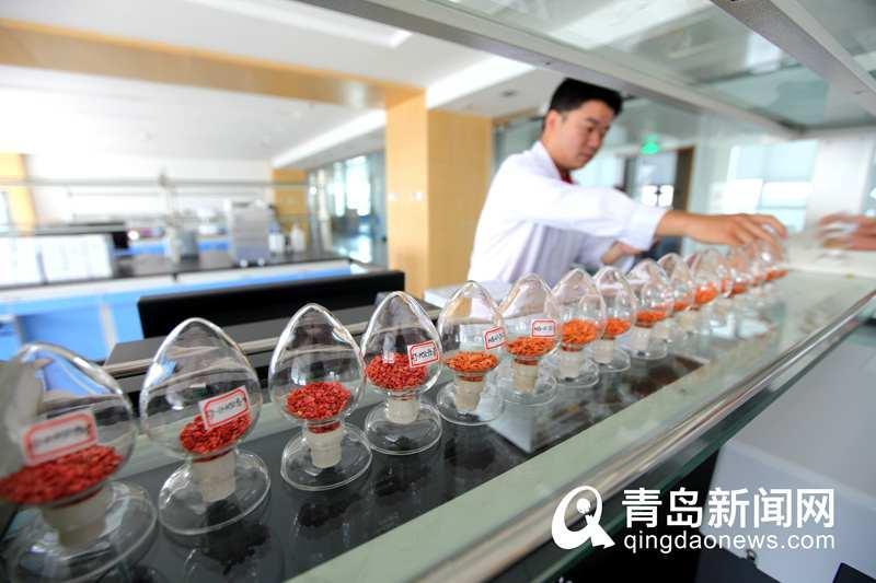 厲害!世界單體面積最大蔬菜花卉工廠西海岸開建